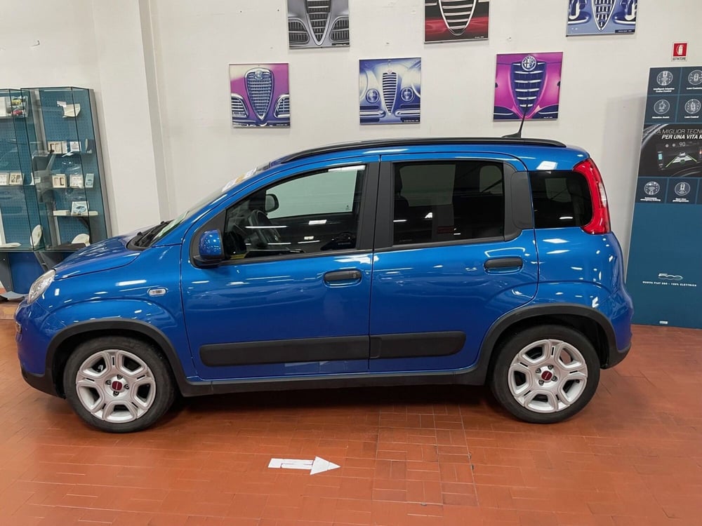 Fiat Panda Cross usata a Lucca (3)