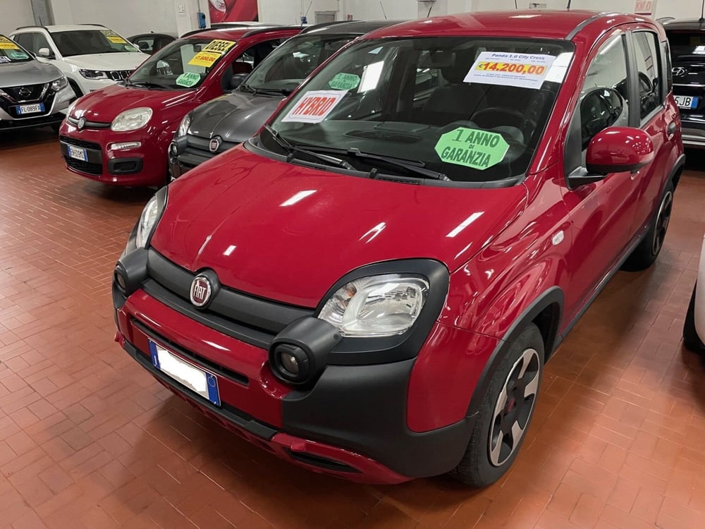 Fiat Panda usata a Lucca