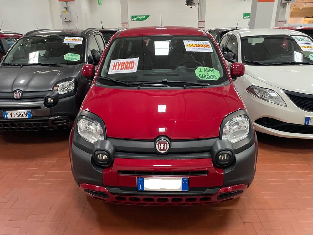 Fiat Panda usata a Lucca (2)