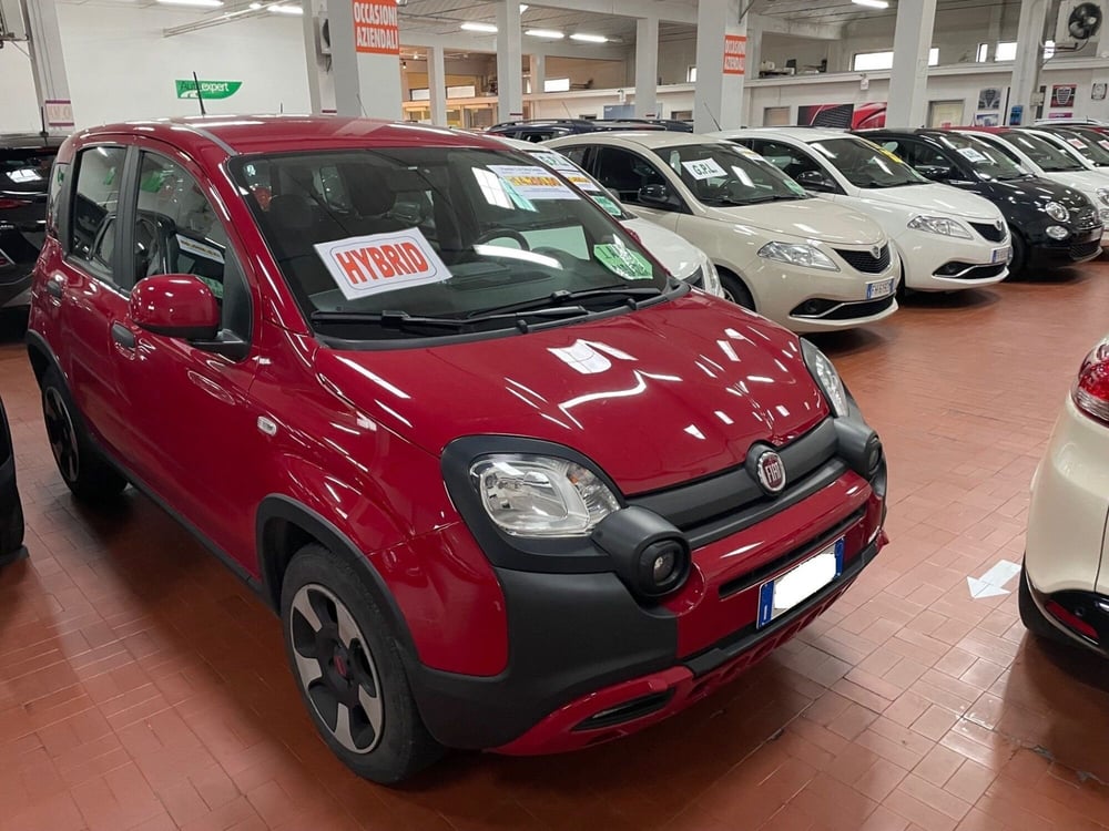 Fiat Panda usata a Lucca (3)