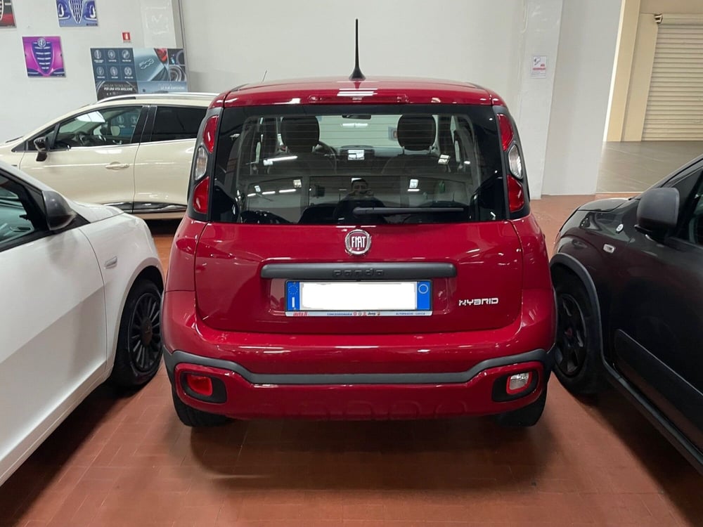 Fiat Panda usata a Lucca (4)