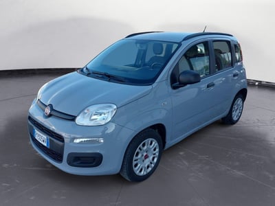 Fiat Panda 1.2 Pop del 2018 usata a Voghera