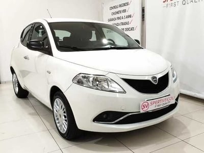 Lancia Ypsilon 1.2 69 CV 5 porte Silver del 2016 usata a Maglie
