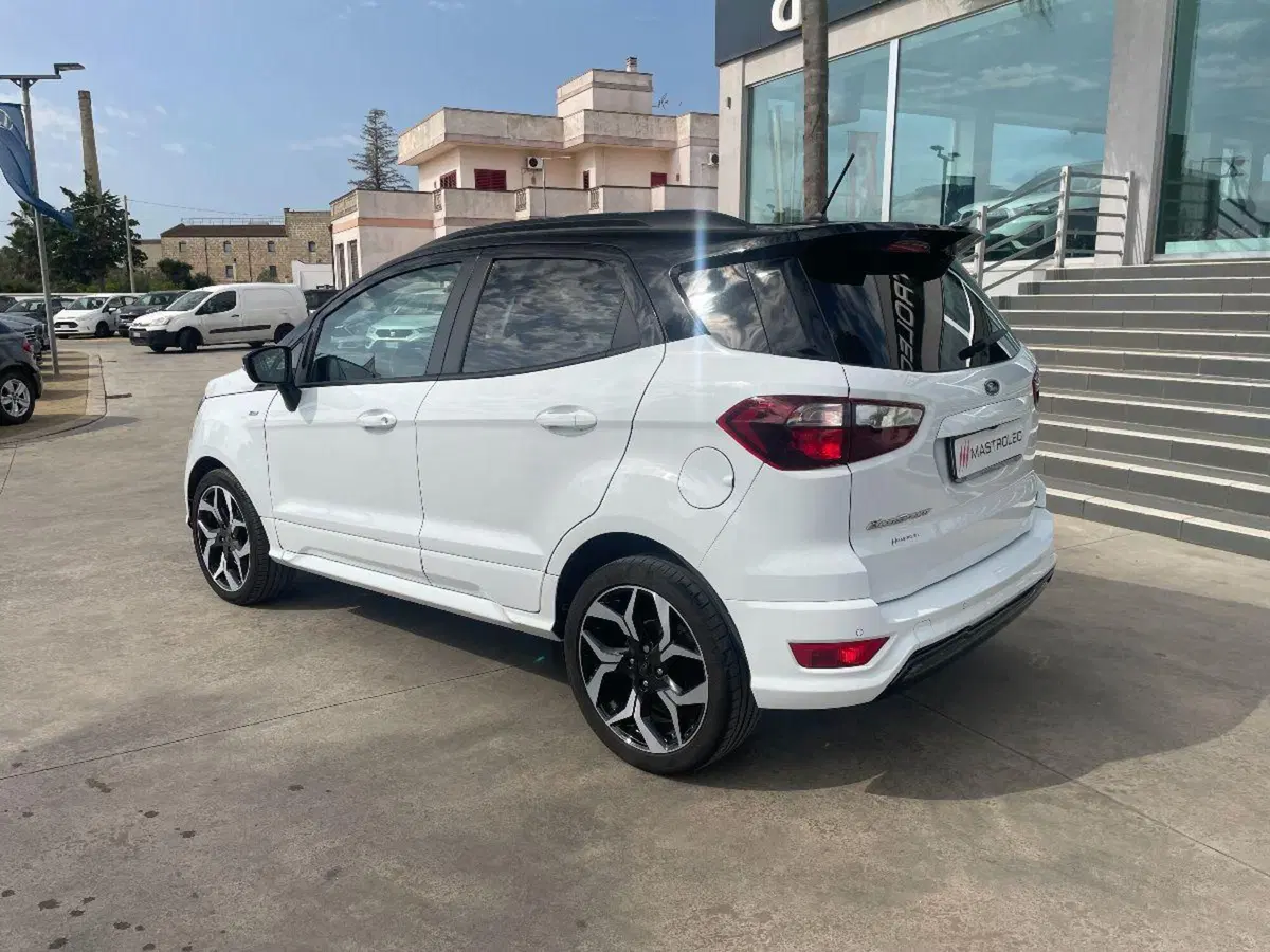 Ford EcoSport usata a Lecce (14)