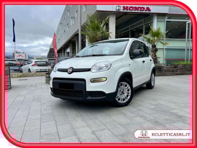 Fiat Panda 1.0 FireFly S&amp;S Hybrid del 2024 usata a Savona