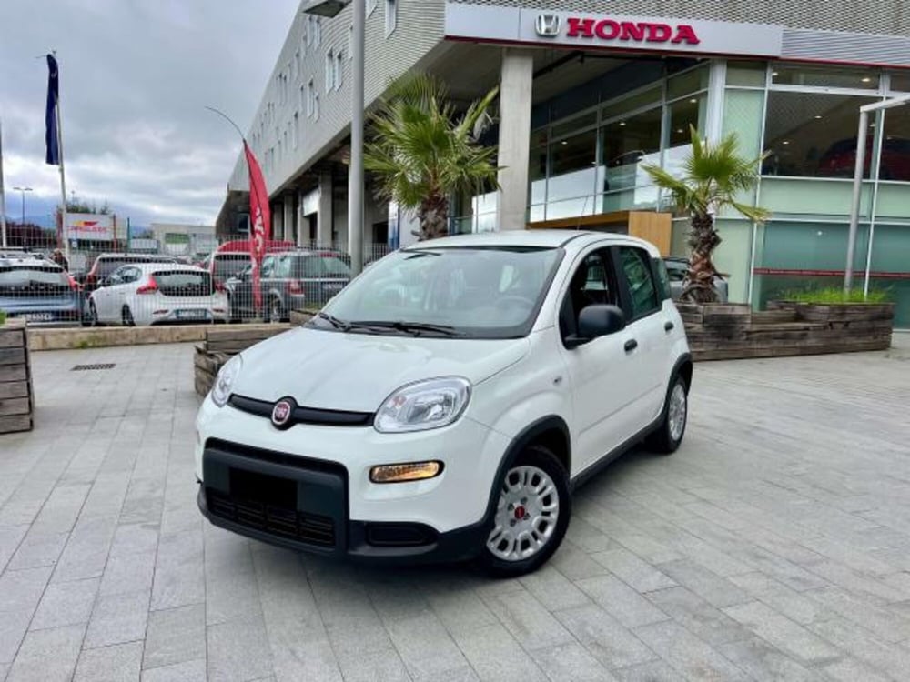 Fiat Panda usata a Savona (10)