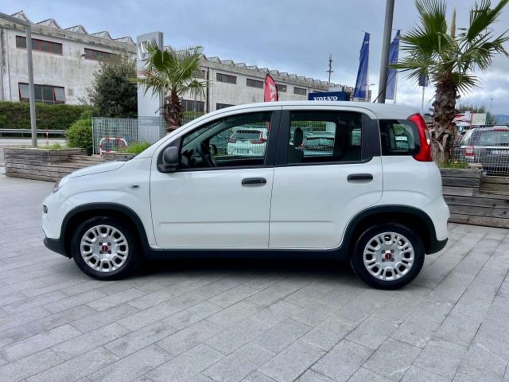 Fiat Panda usata a Savona (3)