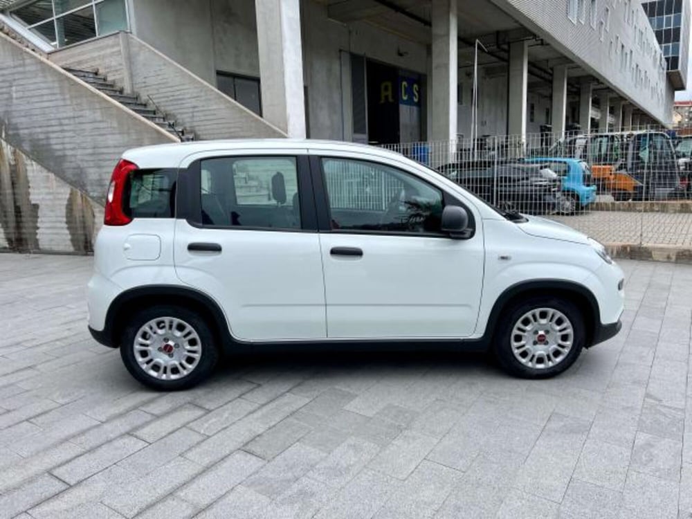 Fiat Panda usata a Savona (7)