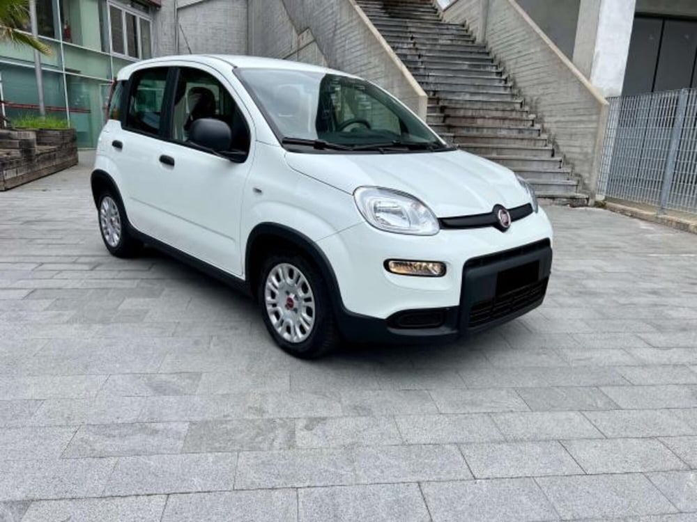 Fiat Panda usata a Savona (8)