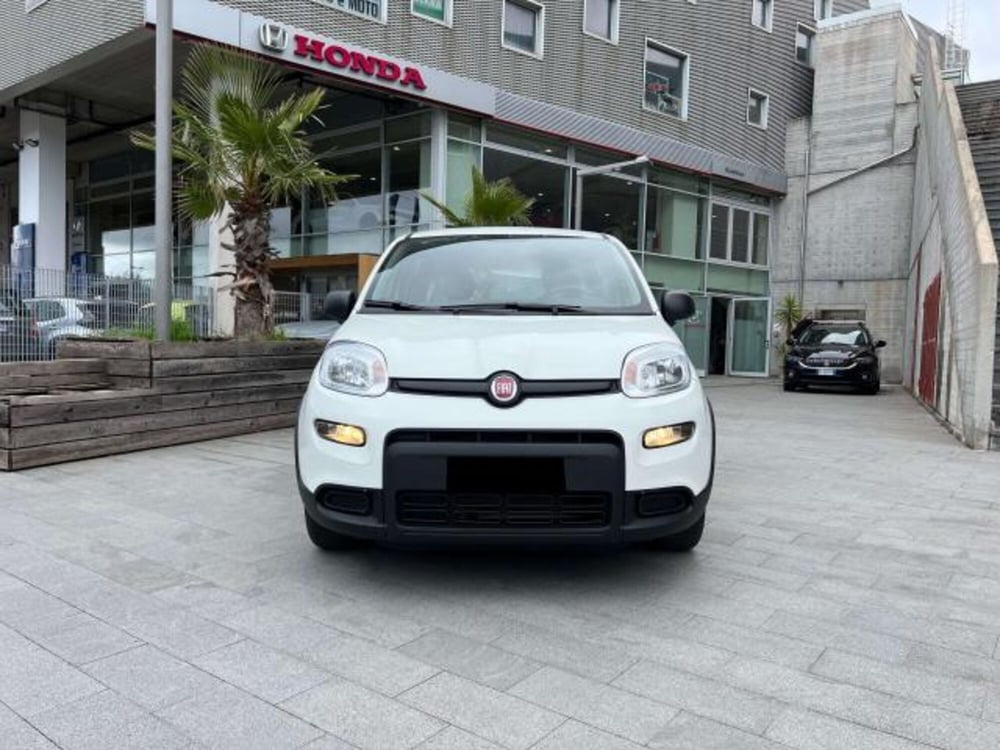 Fiat Panda usata a Savona (9)