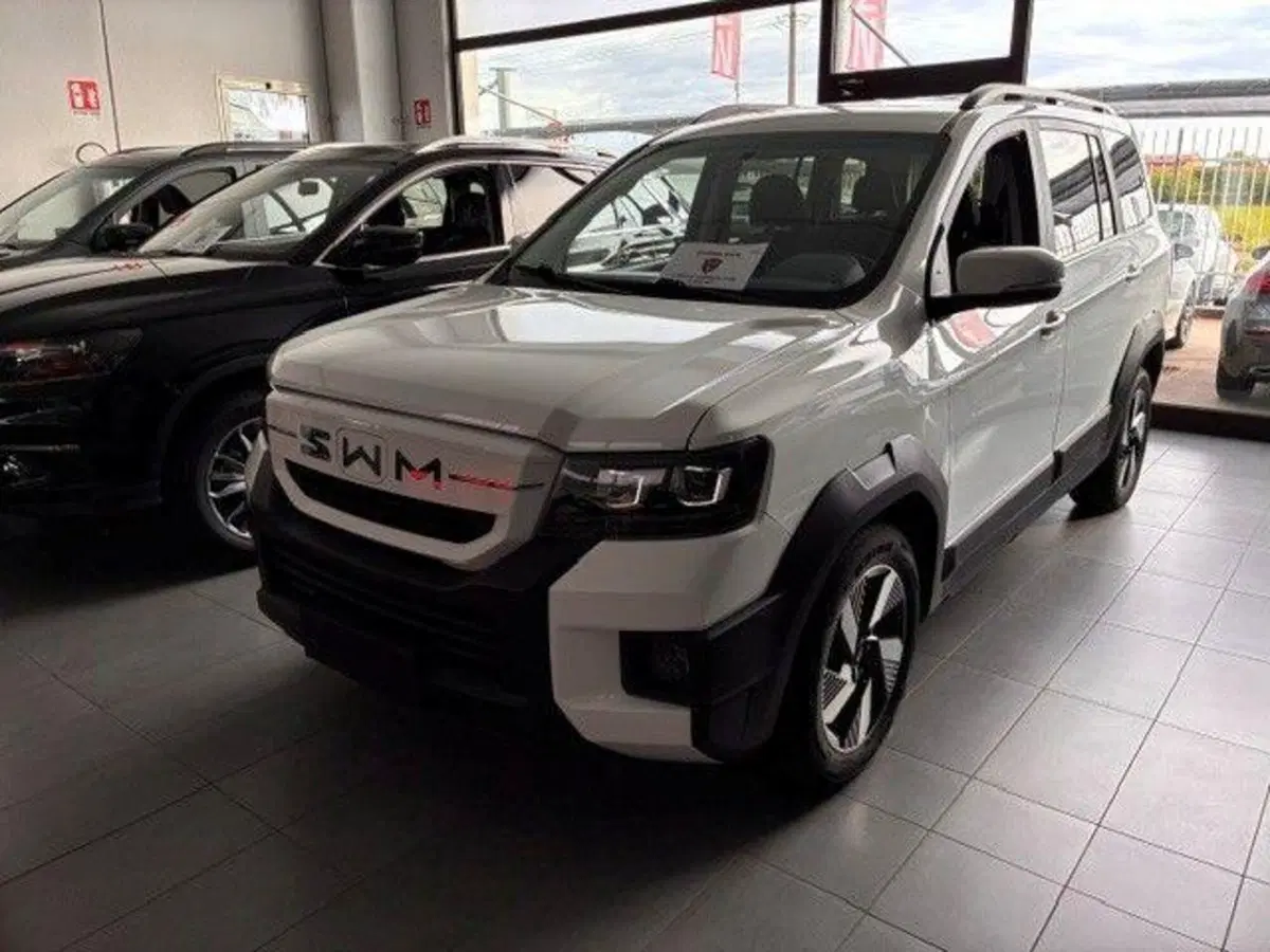SWM G03F nuova a Milano (2)