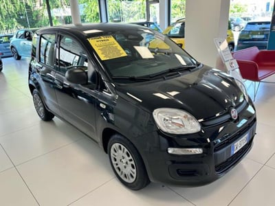 Fiat Panda 1.0 firefly hybrid s&amp;s 70cv 5p.ti nuova a Rho