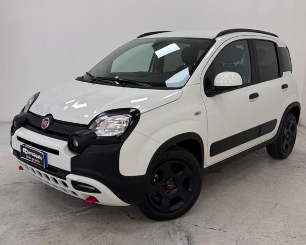 Fiat Panda Cross usata a Como