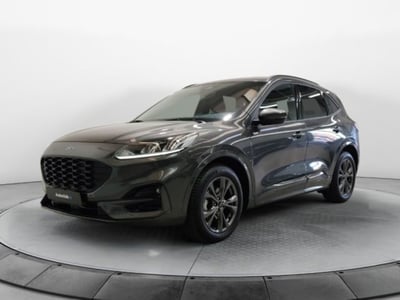 Ford Kuga 2.0 EcoBlue 120 CV aut. 2WD ST-Line X del 2024 usata a Modena