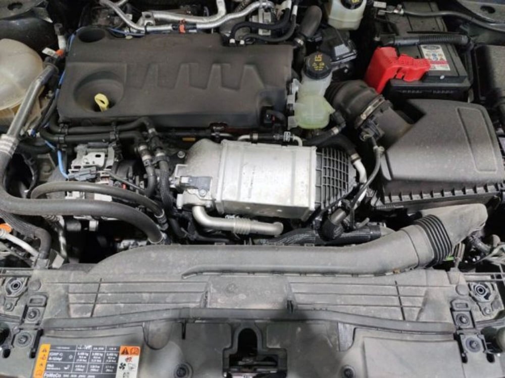 Ford Kuga usata a Modena (15)