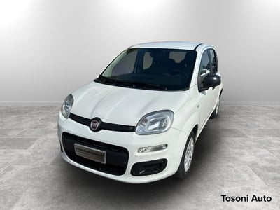 Fiat Panda 1.0 firefly hybrid s&amp;s 70cv 5p.ti del 2021 usata a Sarteano