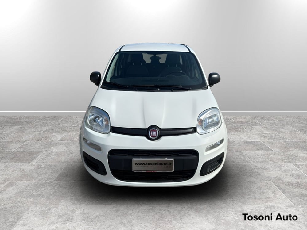 Fiat Panda usata a Siena (2)