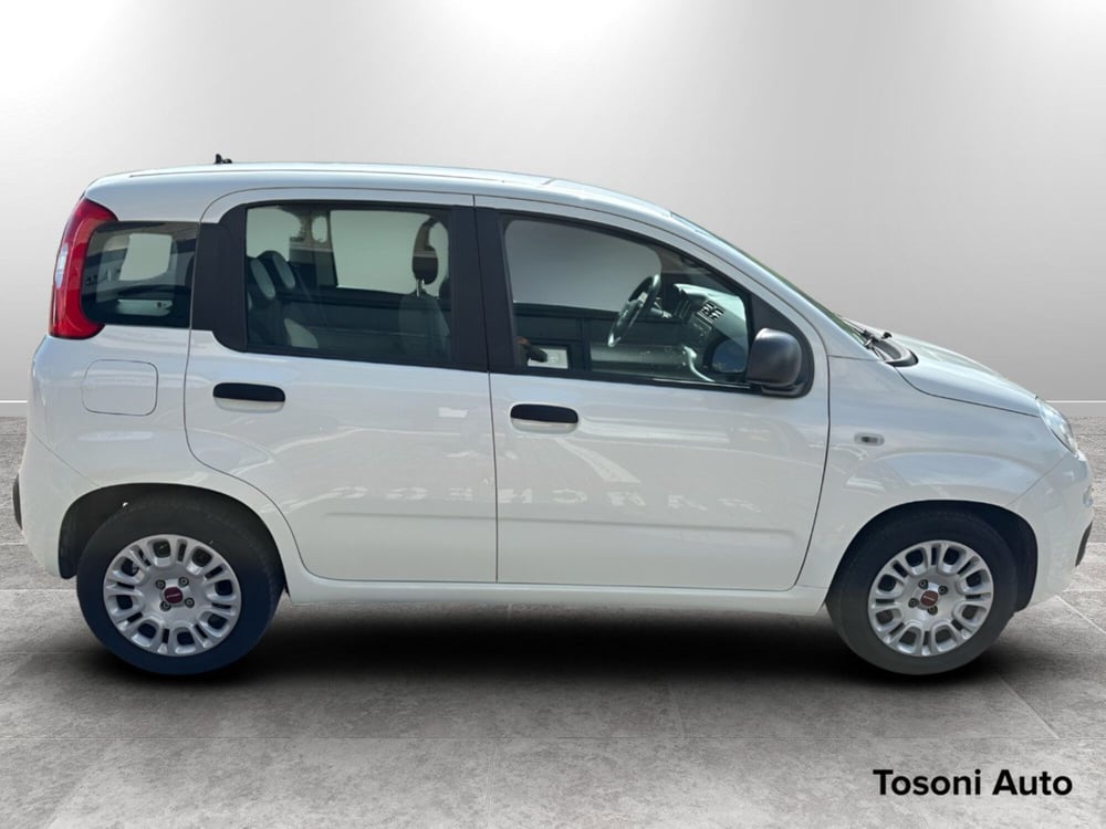 Fiat Panda usata a Siena (3)