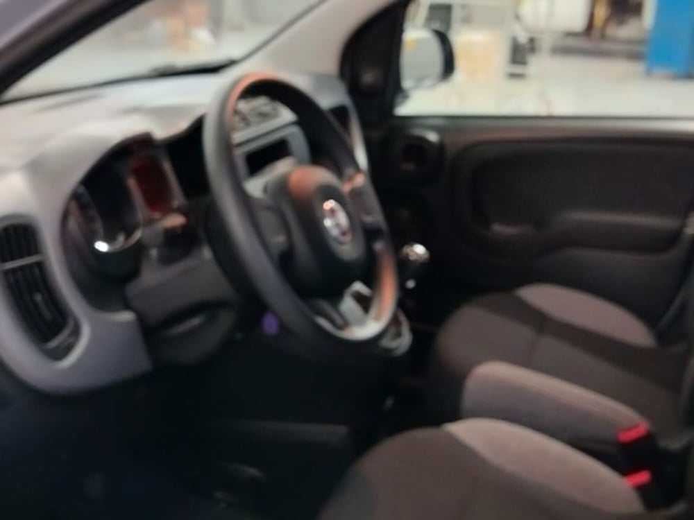 Fiat Panda usata a Forlì-Cesena (19)