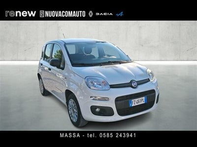 Fiat Panda 1.2 EasyPower Easy del 2020 usata a Sesto Fiorentino