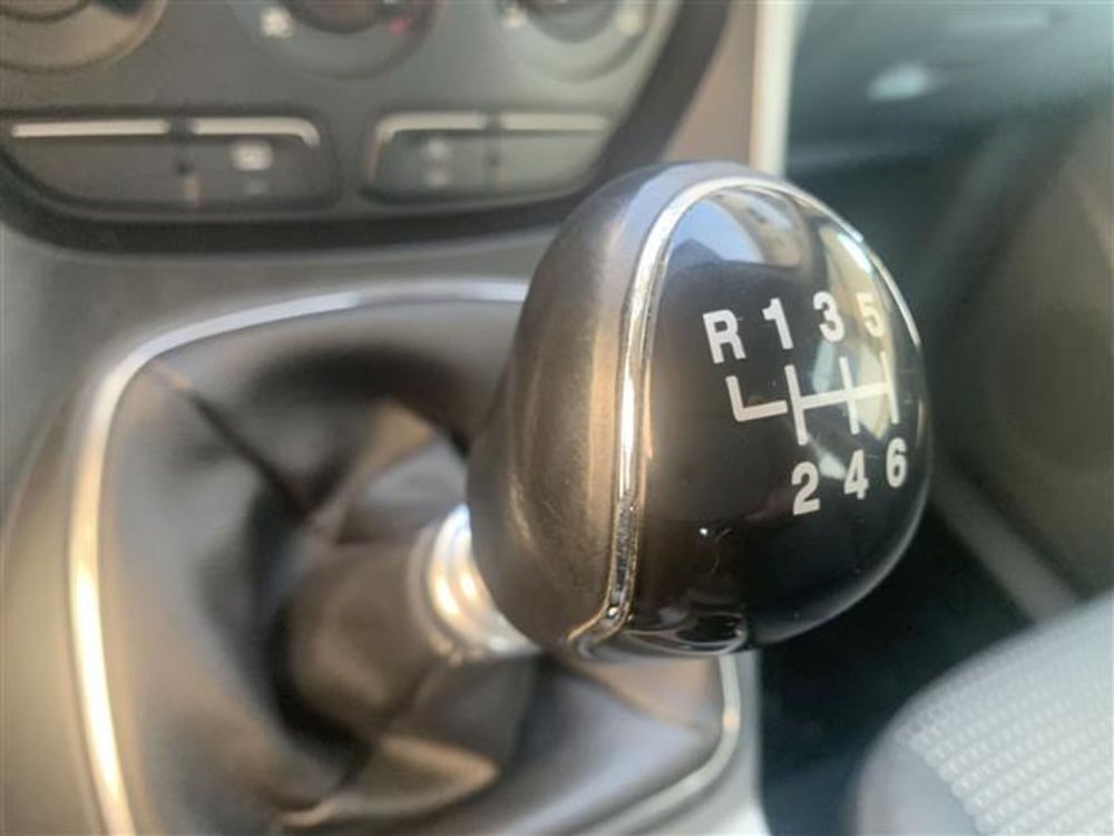 Ford C-Max usata a Torino (11)