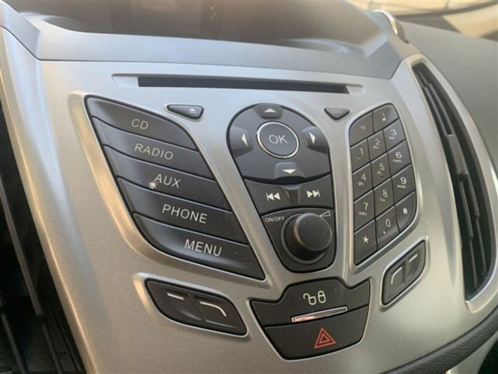 Ford C-Max usata a Torino (9)