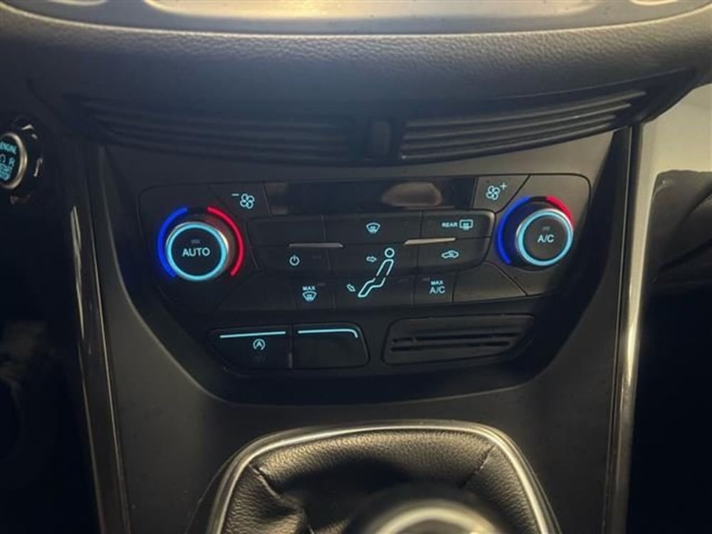 Ford C-Max usata a Siena (10)