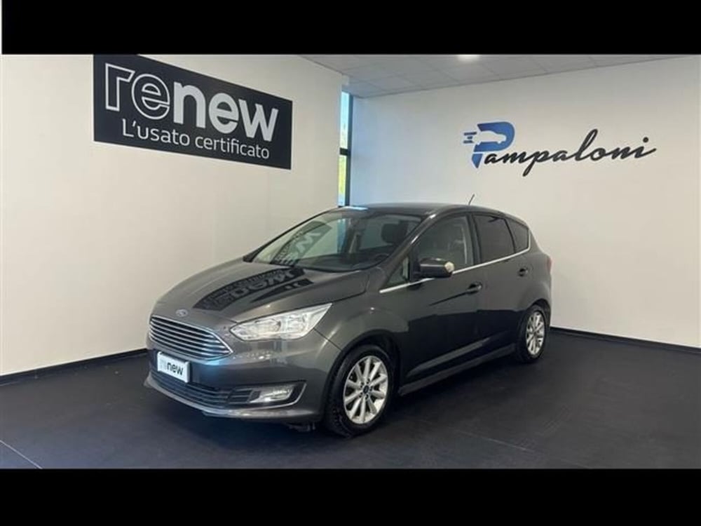 Ford C-Max usata a Siena (2)