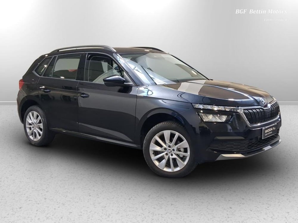 Skoda Kamiq usata a Padova (4)
