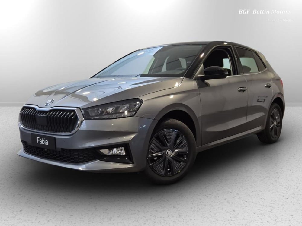 Skoda Fabia nuova a Padova