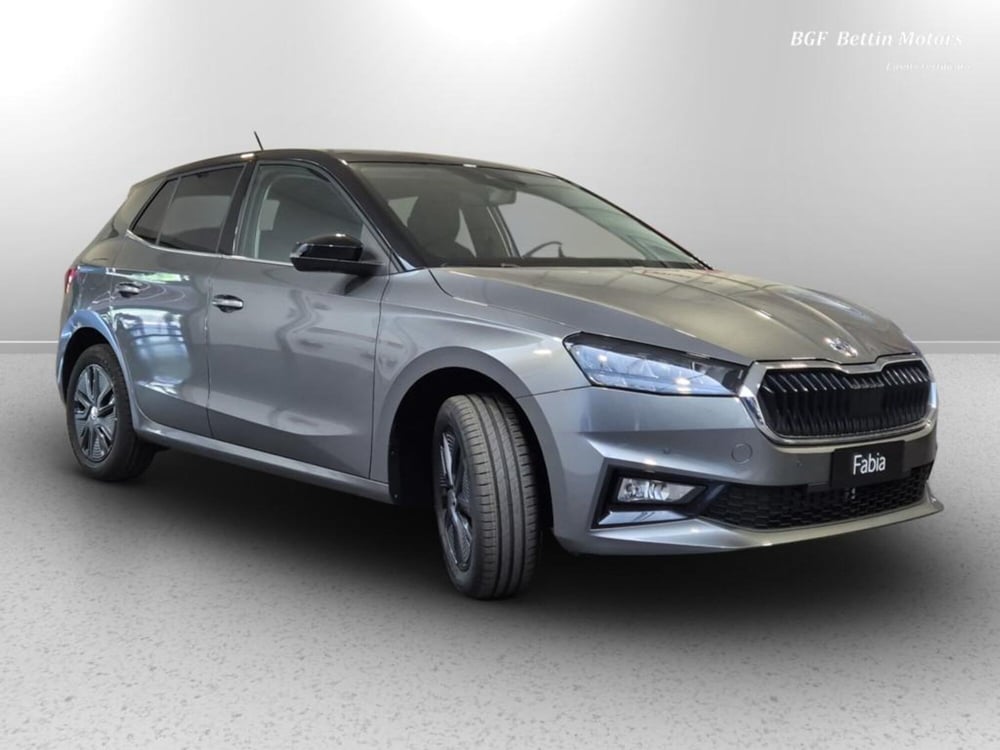 Skoda Fabia nuova a Padova (4)