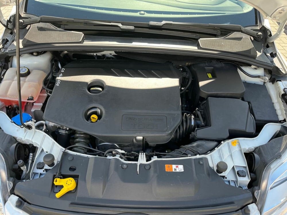 Ford Focus usata a Sondrio (15)