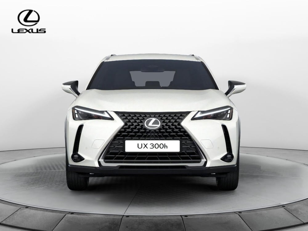 Lexus UX nuova a Cremona (2)