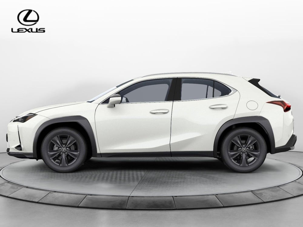 Lexus UX nuova a Cremona (3)