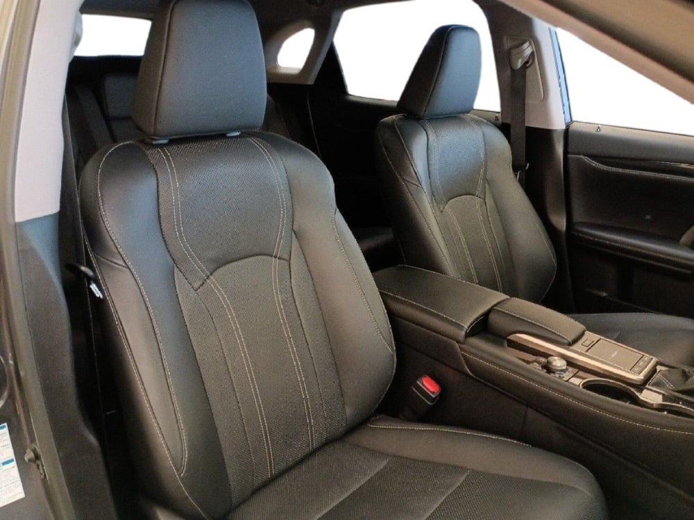 Lexus RX usata a Milano (7)