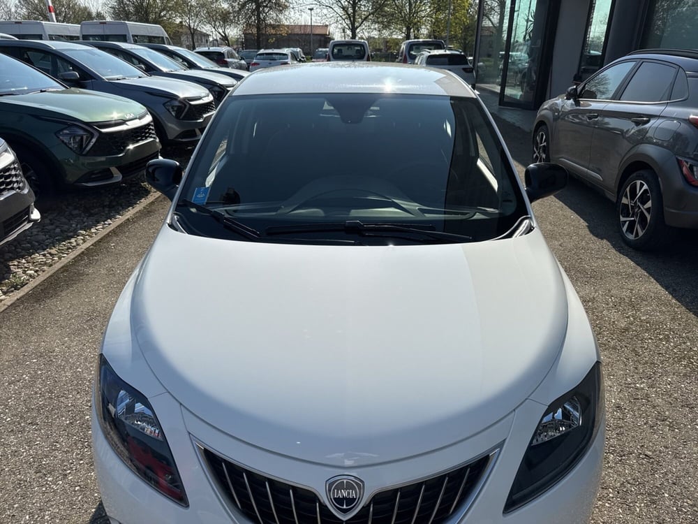 Lancia Ypsilon usata a Ravenna (9)