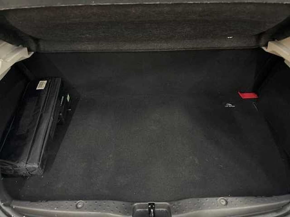 smart forfour usata a Napoli (17)
