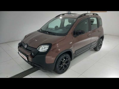 Fiat Panda 1.2 Trussardi del 2019 usata a Montebelluna