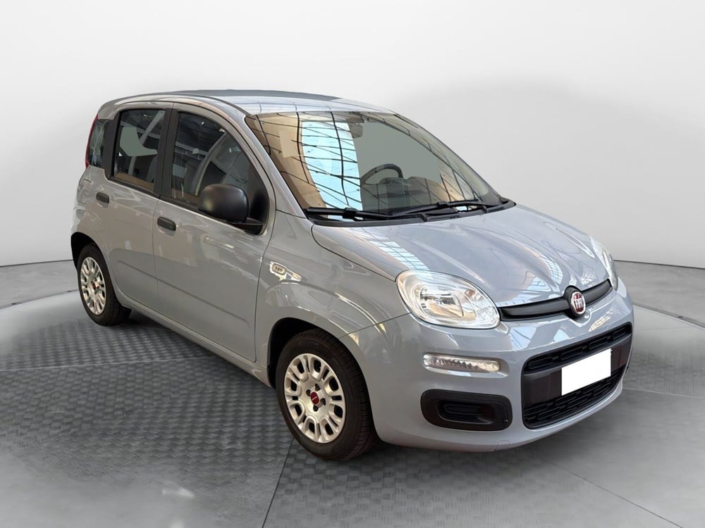 Fiat Panda usata a Como