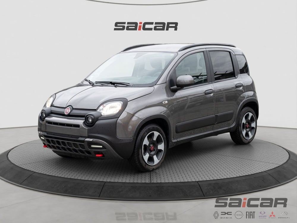 Fiat Panda usata a Torino