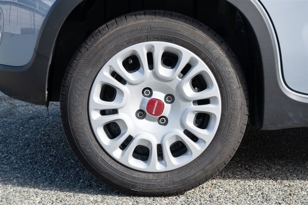 Fiat Panda Cross usata a Torino (10)