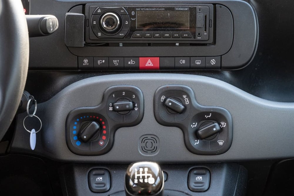 Fiat Panda Cross usata a Torino (18)