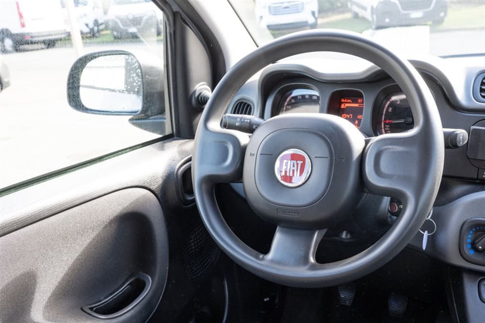 Fiat Panda Cross usata a Torino (19)