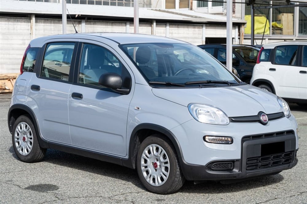 Fiat Panda Cross usata a Torino (3)