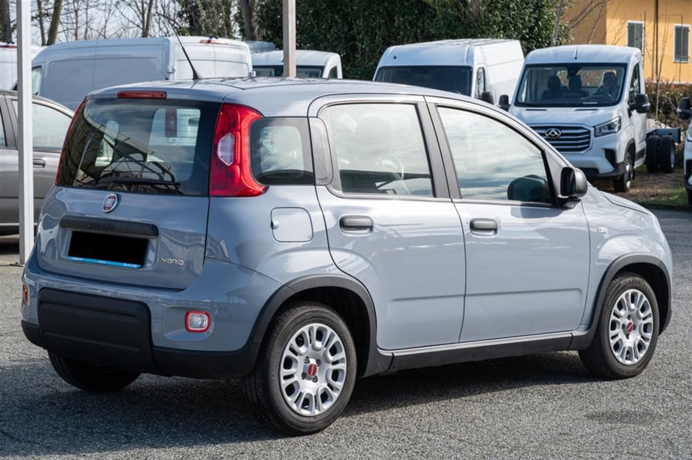Fiat Panda Cross usata a Torino (5)