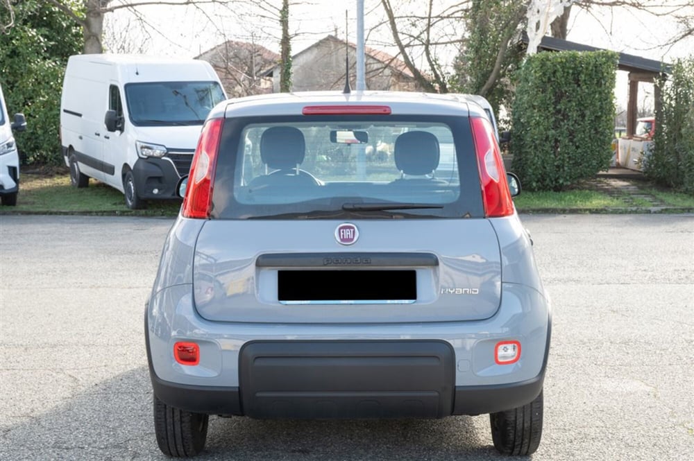 Fiat Panda Cross usata a Torino (6)