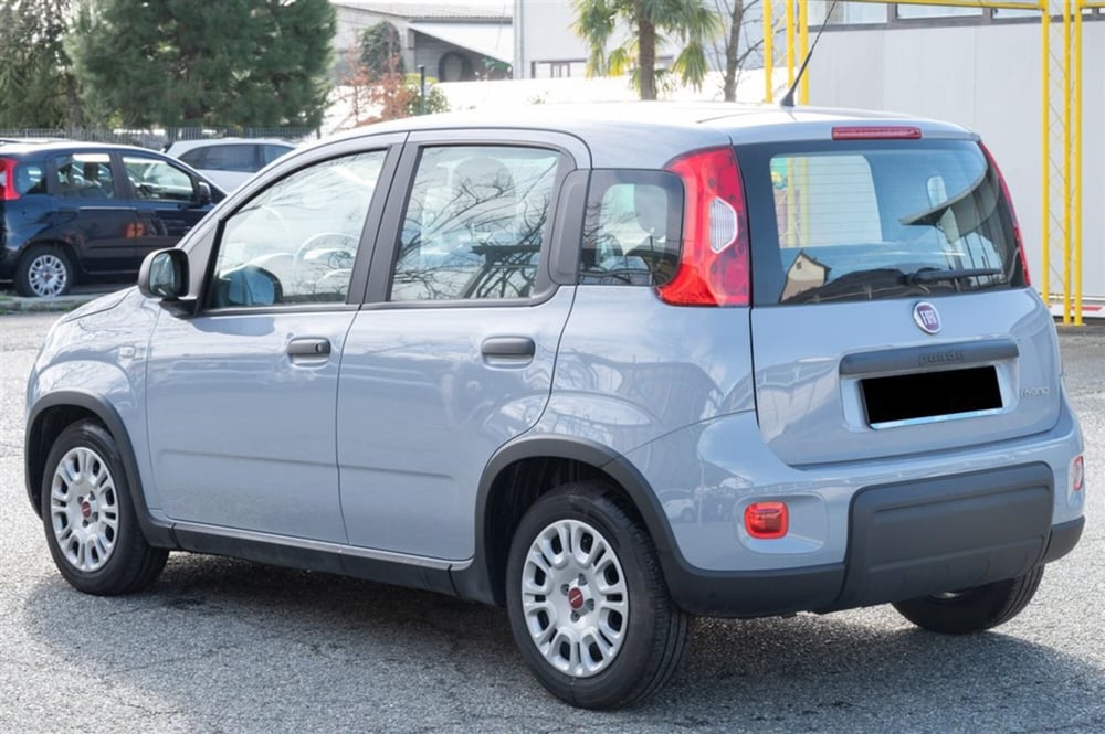 Fiat Panda Cross usata a Torino (7)