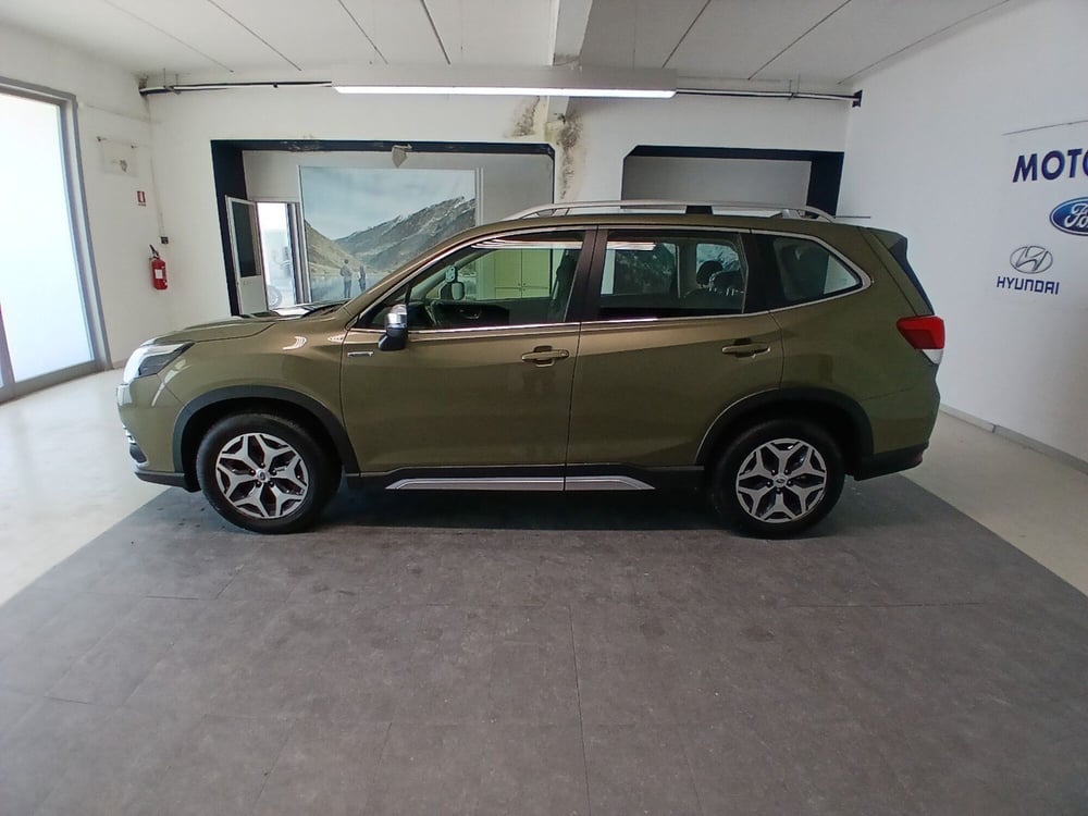 Subaru Forester usata a Arezzo (8)