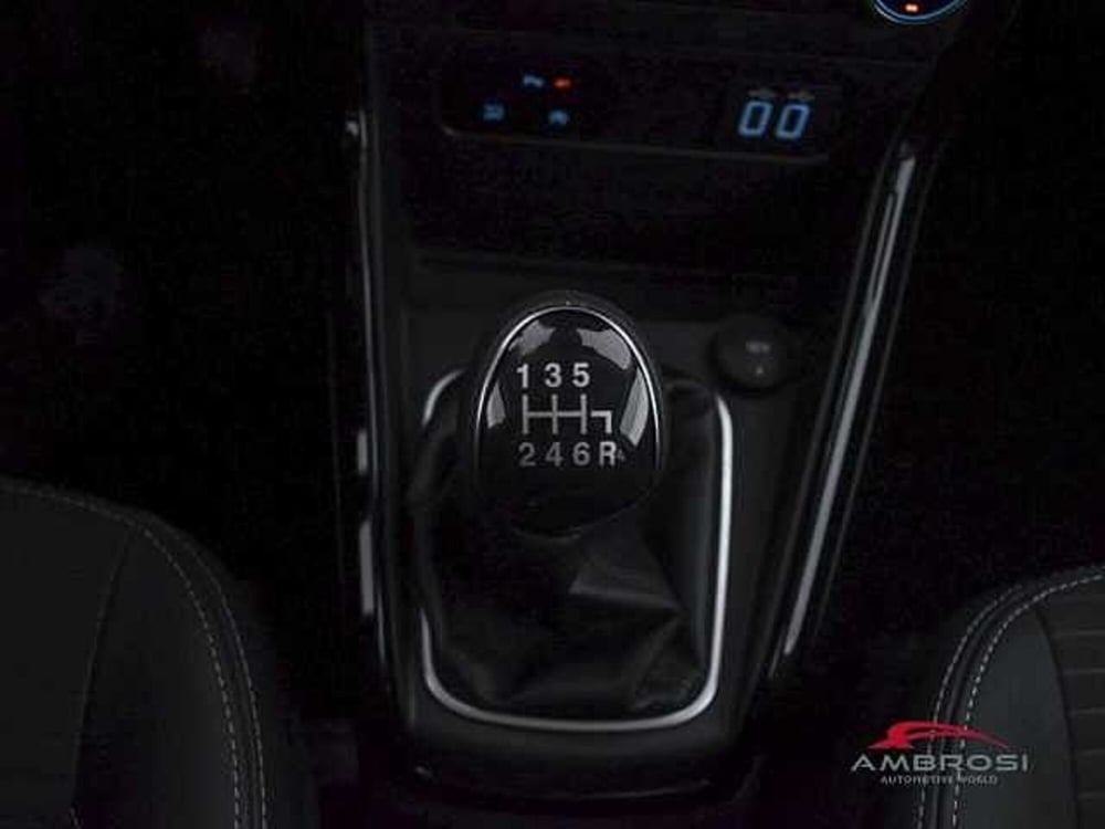 Ford EcoSport usata a Perugia (20)