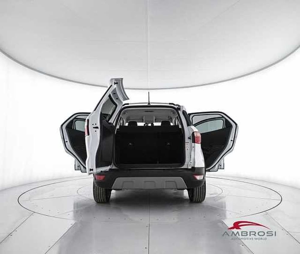 Ford EcoSport usata a Perugia (7)